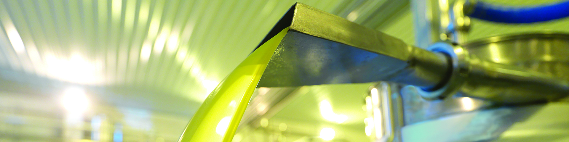 Olive Oil Booster herobanner 1920x480 1