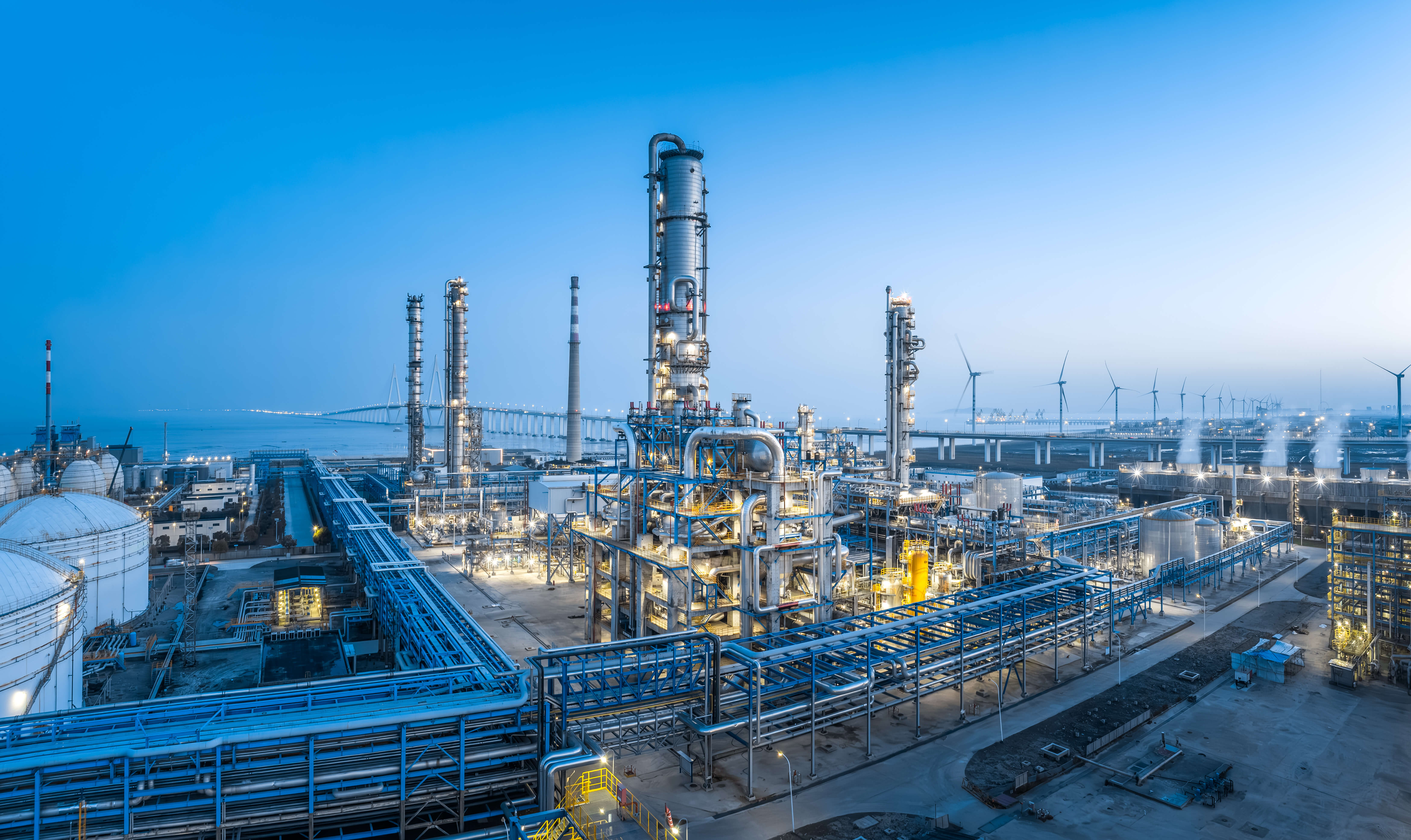 Petrochemical plant