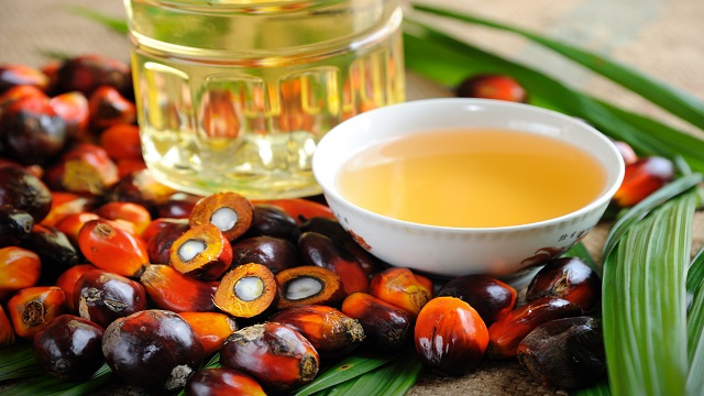palmoil 640x360