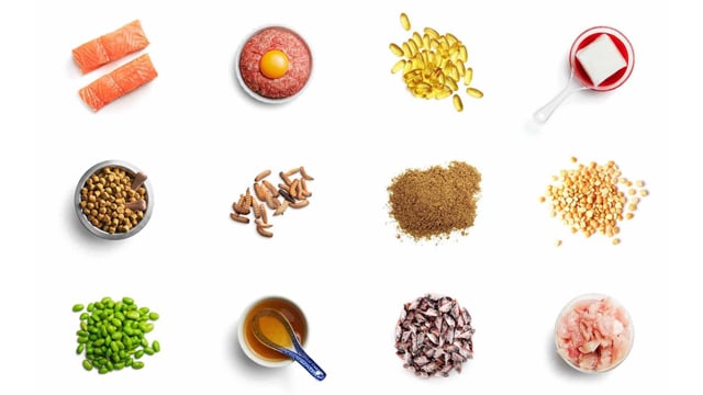 Protein 640x360