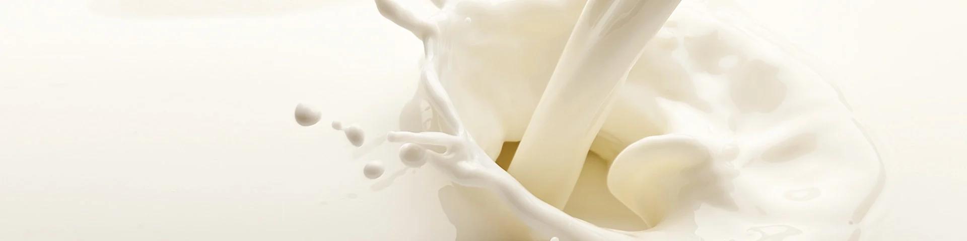 Audit d'&eacute;quipements de production des produits laitiers petites laiteries