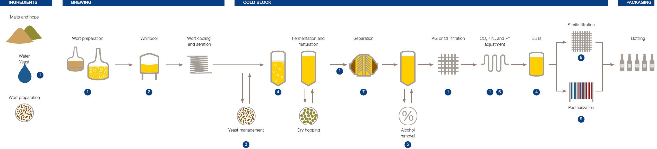 craft brewing equipment